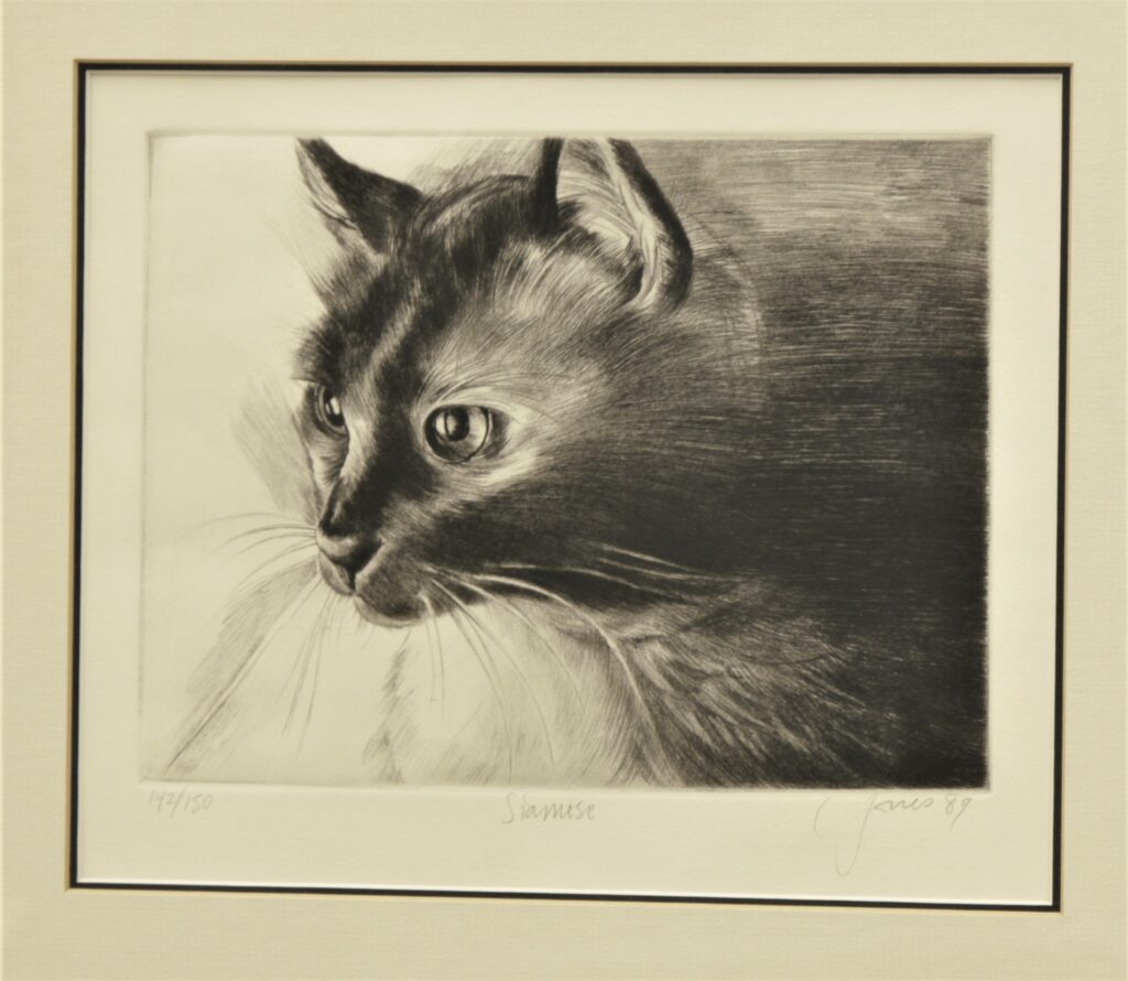 Siamese Cat Image